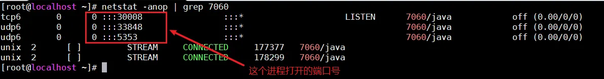1745134444024